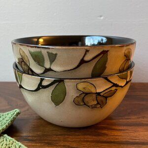 Gourmet Basics by Mikasa Emory 2 Soup Cereal Bowls Stoneware